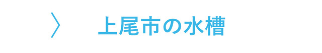 上尾市のレンタル水槽