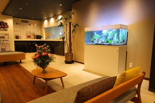 120cm水槽　海水魚レンタル