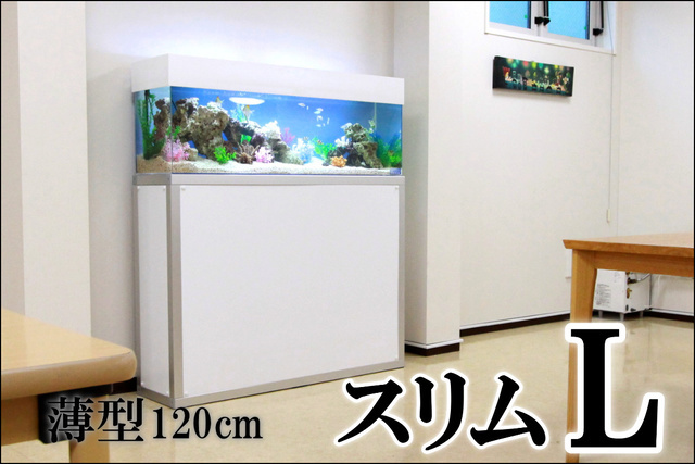 薄型120cm水槽　埼玉