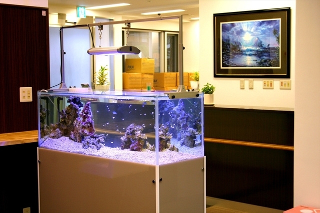 レンタル水槽　120cm